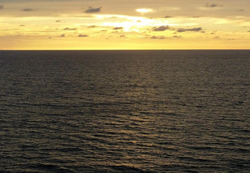 Dream Scenes of Drone